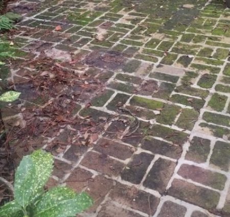 Men Of Faith Pressure Washing LLC - Savannah, GA