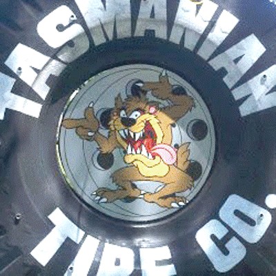 Tasmanian Tire Co - Charlotte, MI