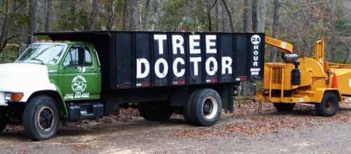 The Tree Doctor - Hephzibah, GA