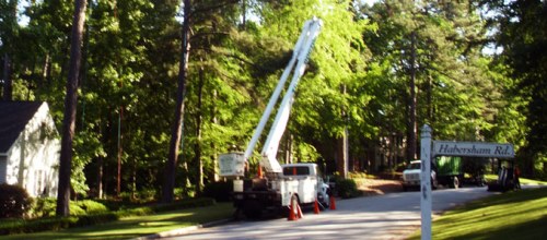 The Tree Doctor - Hephzibah, GA