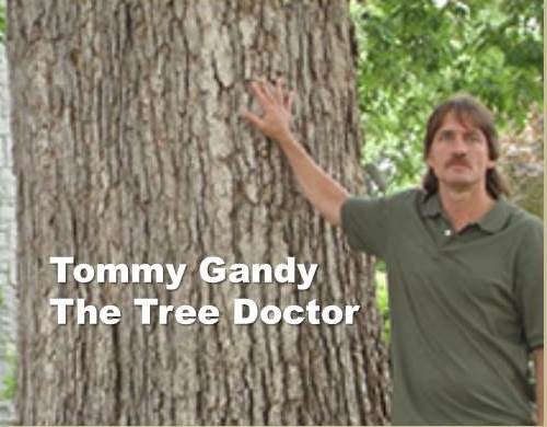 The Tree Doctor - Hephzibah, GA