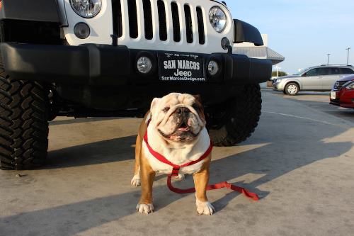 San Marcos Chrysler Dodge Jeep Ram - San Marcos, TX